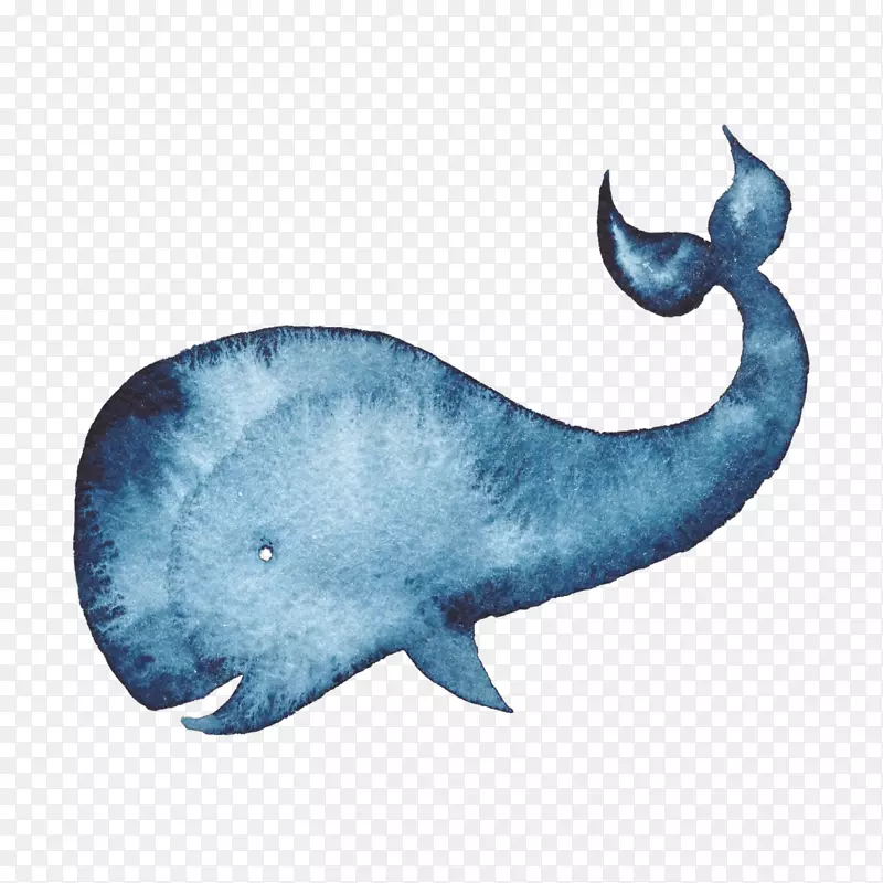 座头鲸水彩画蓝鲸