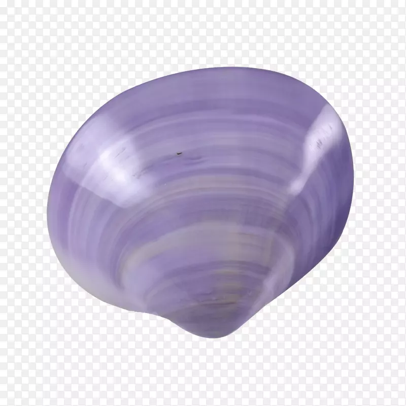 蛤蜊，贝壳，紫罗兰，紫丁香-紫色