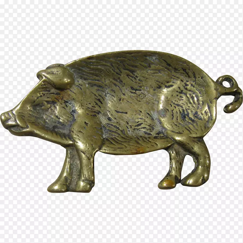 猪青铜陆生动物鼻子-公猪