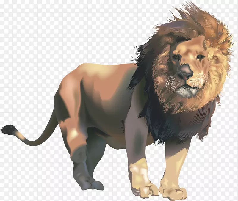 强大的狮子剪辑艺术-狮子的头