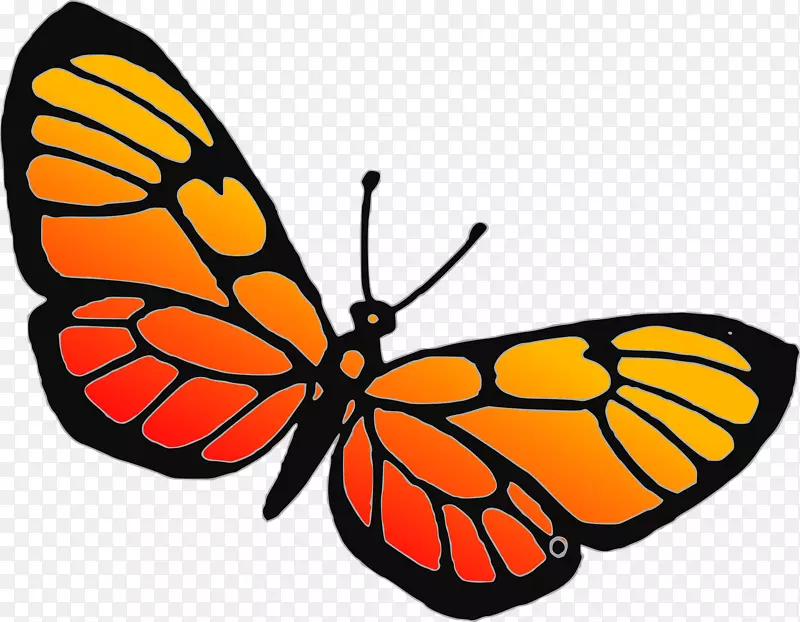 蝴蝶画纸伽利略与运动剪贴画学-蝴蝶