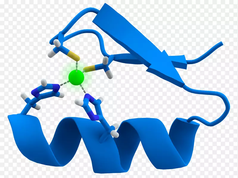 锌指核酸酶结构基序