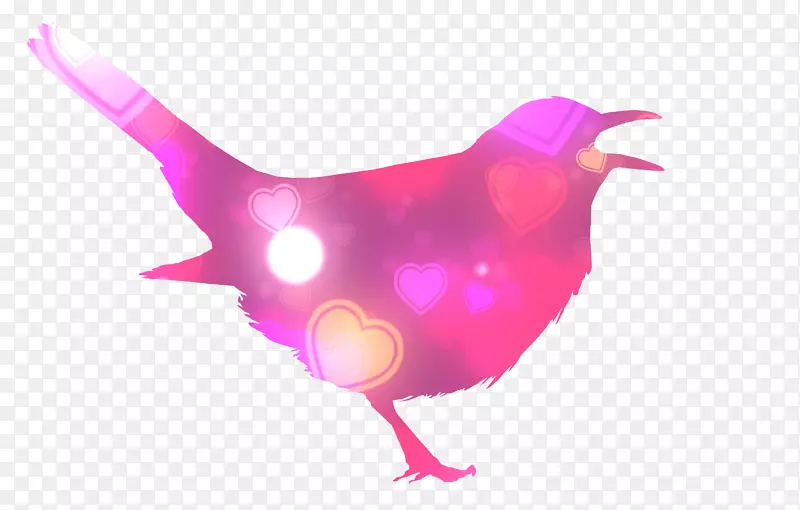 彩色动物秒表鸟安卓-动物轮廓