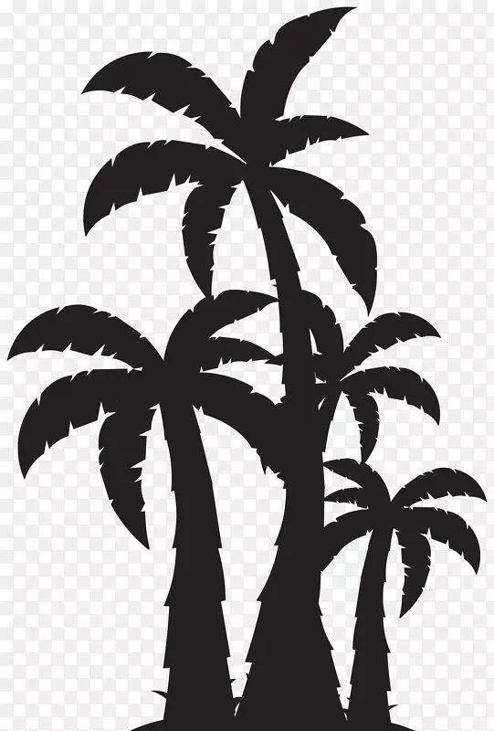 槟榔科剪贴画-棕榈树