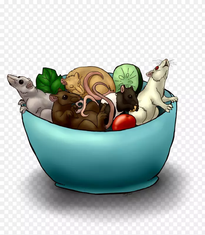 老鼠食物沙拉碗-老鼠和老鼠