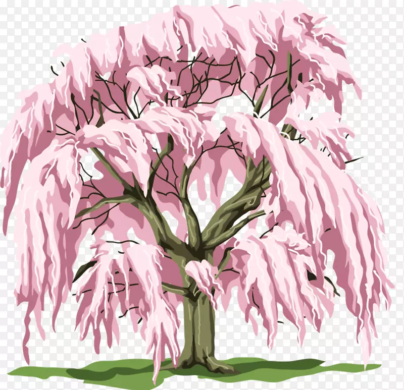 树木剪贴画-草药
