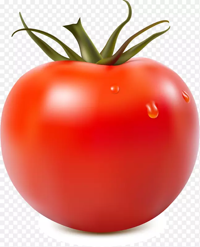 番茄汁番茄酱剪贴画-蔬菜