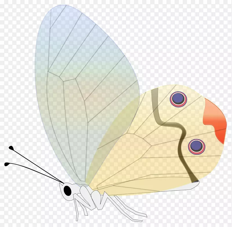 蝴蝶电脑图标剪贴画翅膀