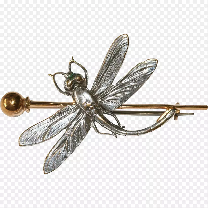昆虫珠宝胸针服装附件无脊椎动物蜻蜓