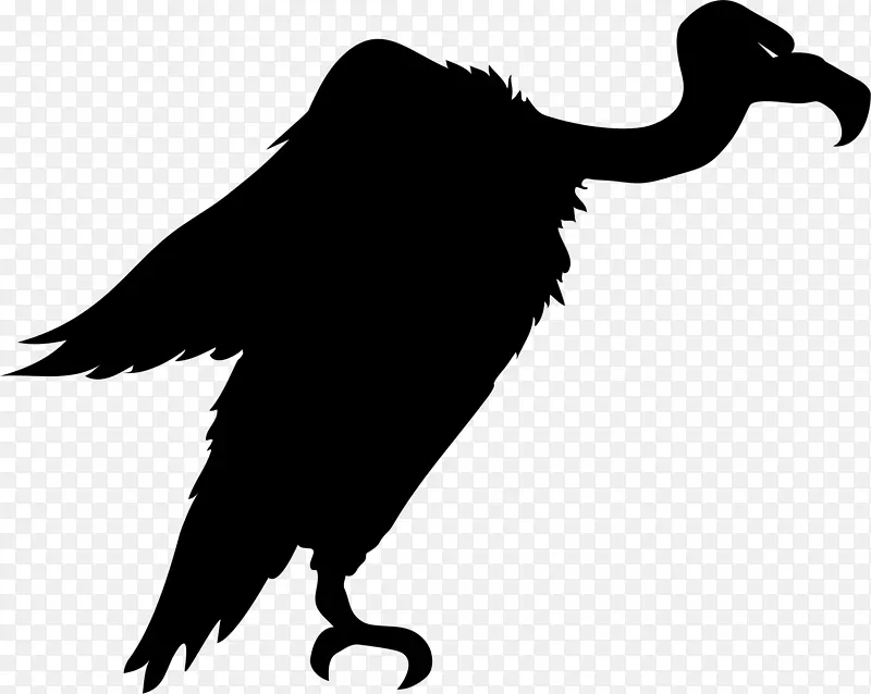 土耳其秃鹫鸟剪贴画-动物轮廓
