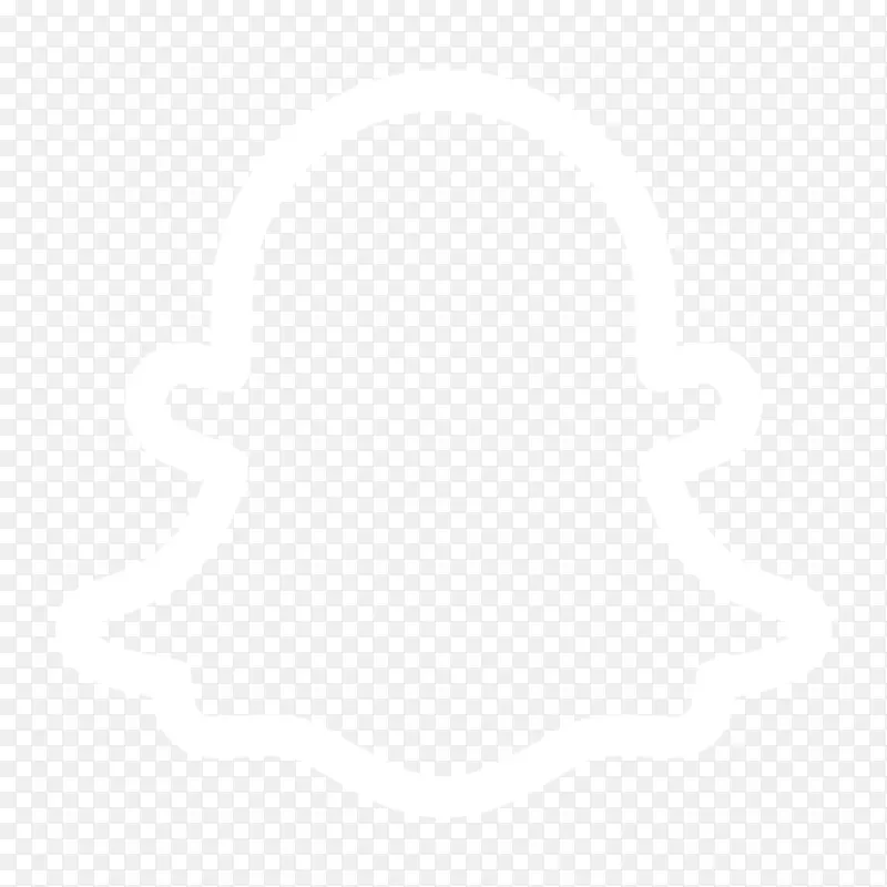 嘉吉电子邮件技术学院，塔拉格特酒店营销-Snapchat