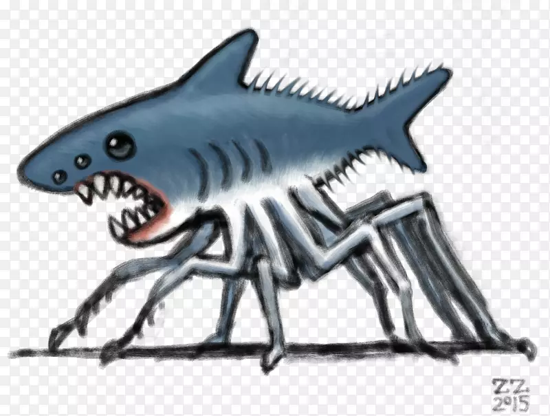 虎鲨蜘蛛动物-鲨鱼