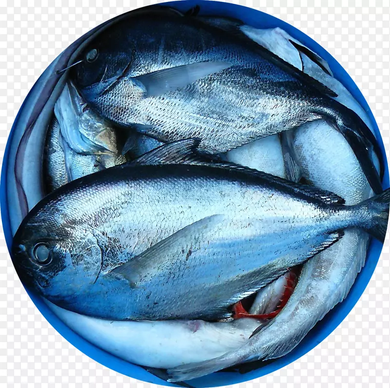 养鱼海鲜市场-鱼类