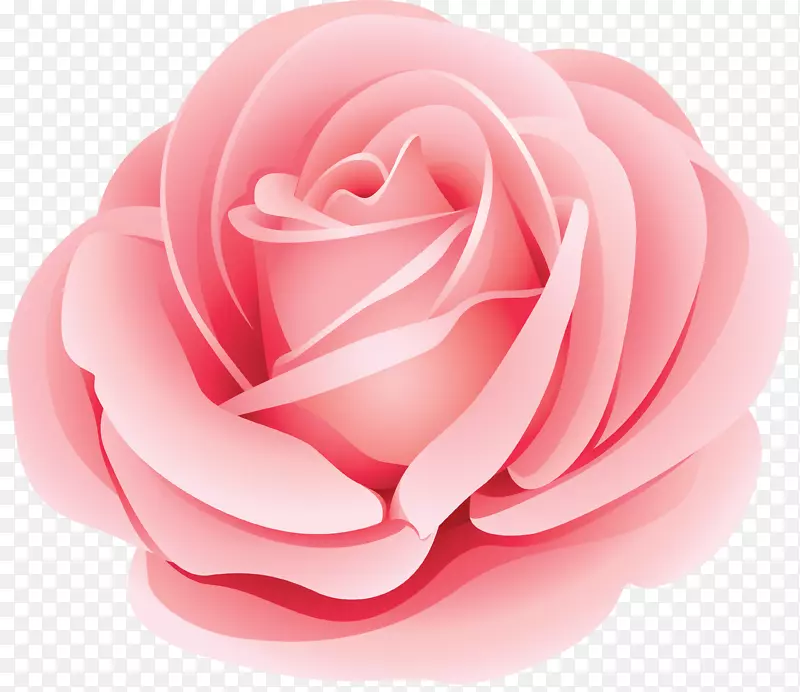 花玫瑰剪贴画-白玫瑰