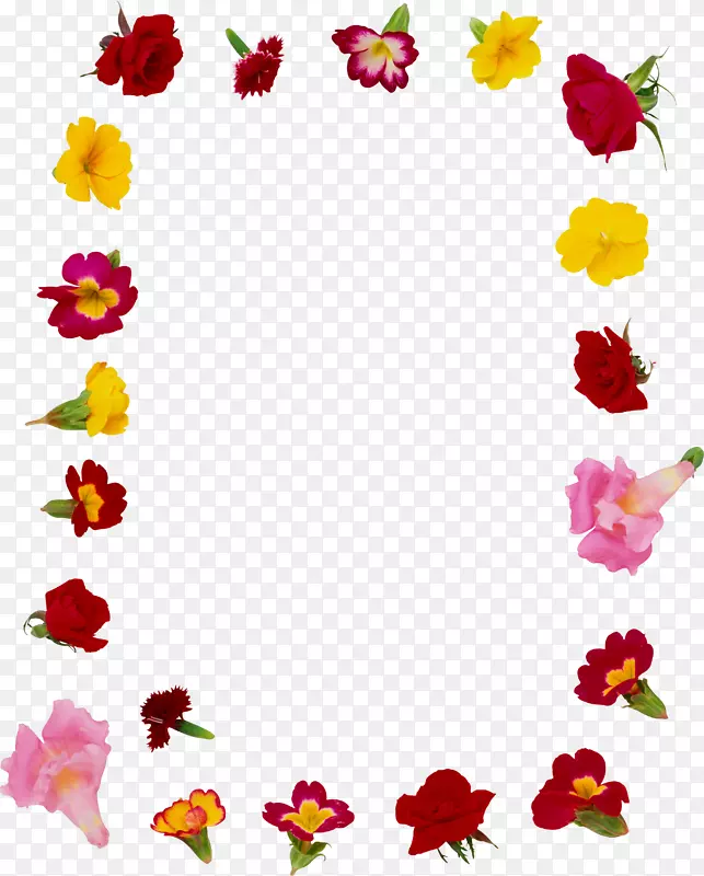 食用花卉画框花园玫瑰.黄色框架