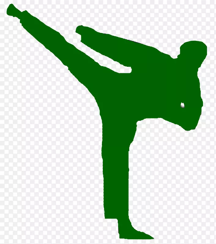 跆拳道武术运动国际跆拳道联合会空手道混合武术