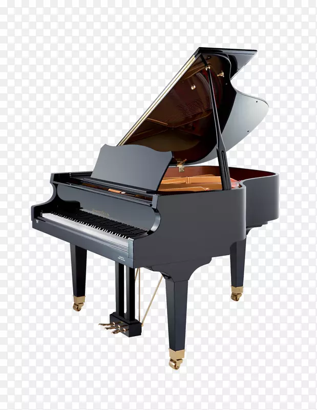 赛勒钢琴有限公司立式钢琴大钢琴乐器.小号和萨克斯管
