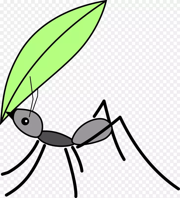 黑花园蚂蚁昆虫画夹艺术-蚂蚁