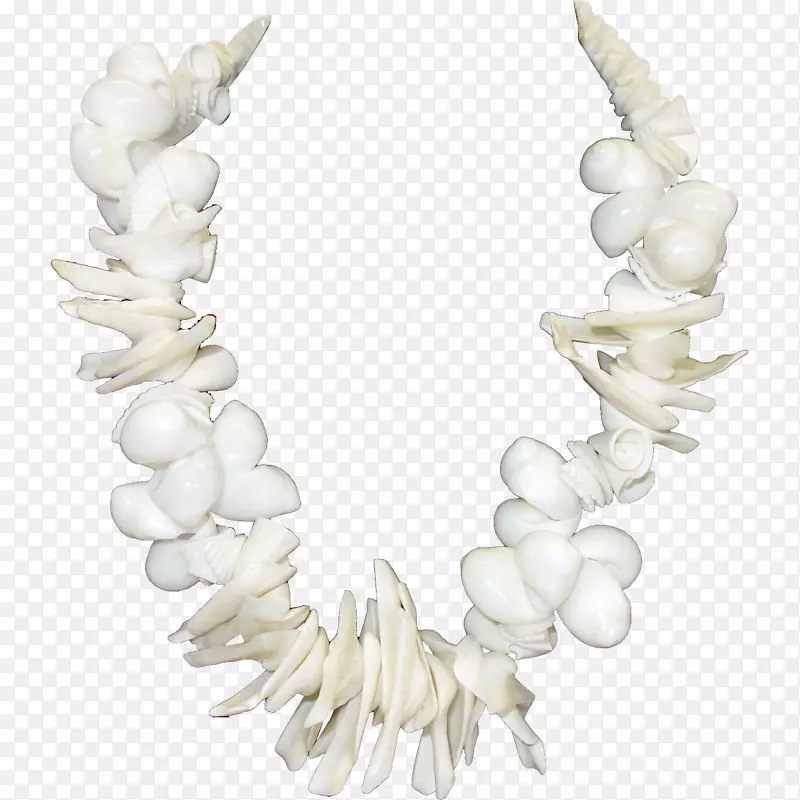 人体珠宝项链珍珠首饰设计-贝壳