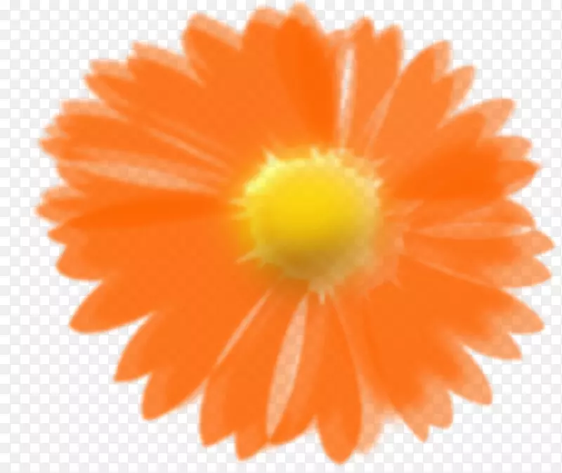 橙花剪贴画-向日葵