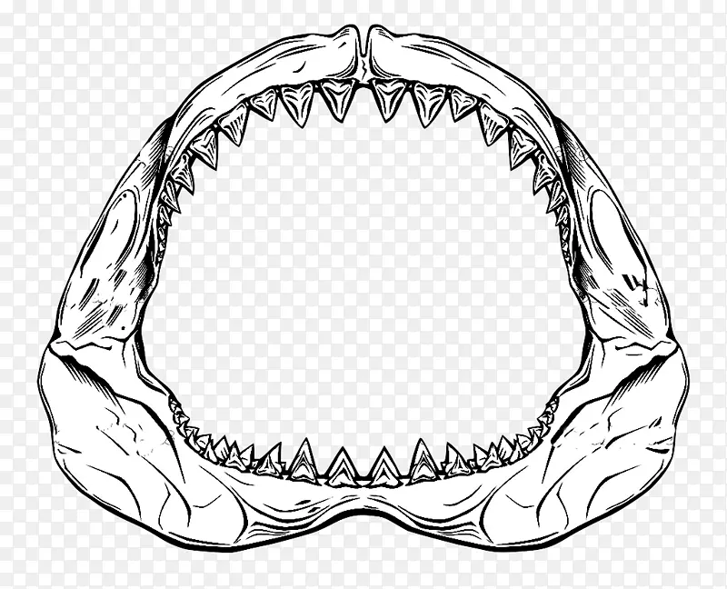 鲨鱼嘴画-鲨鱼