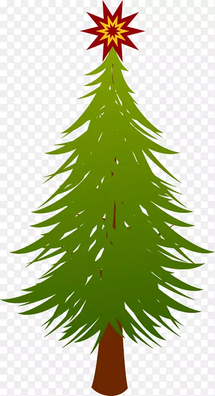 杉木云杉常绿圣诞树-圣诞树