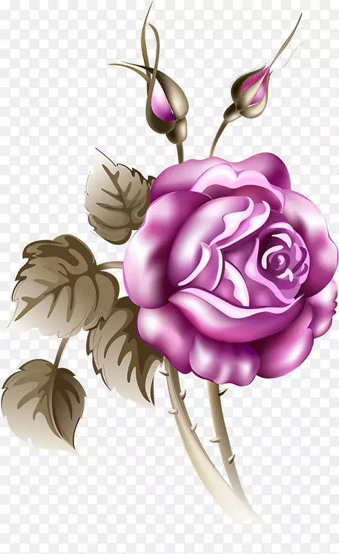 花静物：粉红玫瑰画野果花园玫瑰牡丹