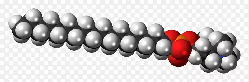 磷脂空间填充模型分子磷脂酰肌醇两性球