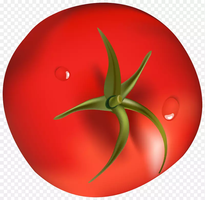 番茄蔬菜食品剪贴画-番茄