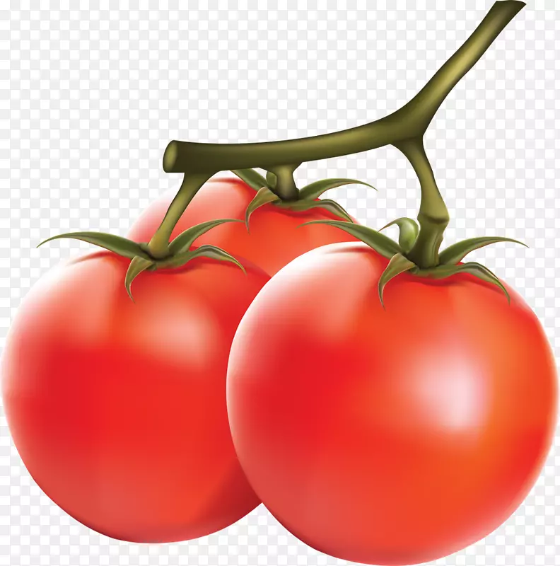 番茄蔬菜电脑图标剪贴画-番茄