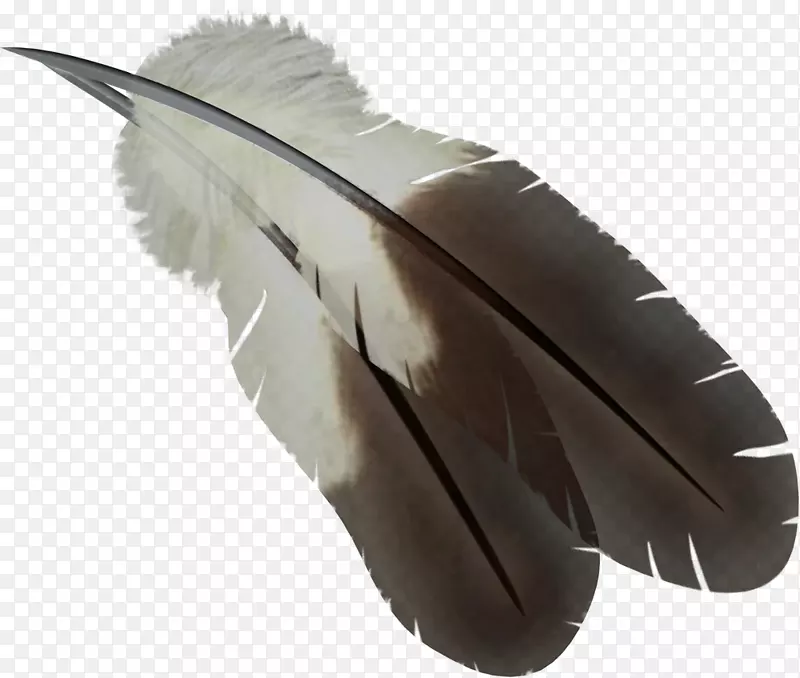 羽毛封装的PostScript图像文件格式.羽毛