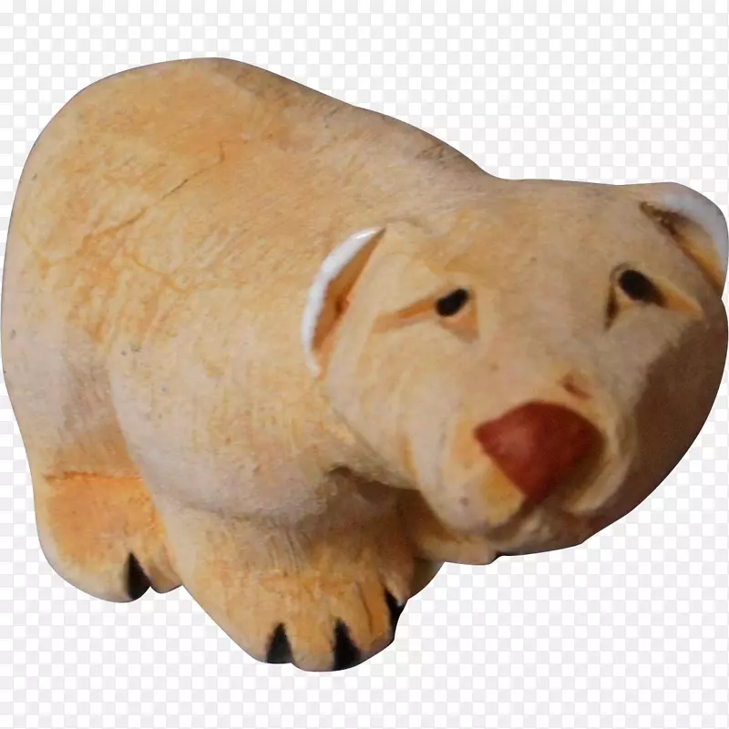 猪鼻动物北极熊