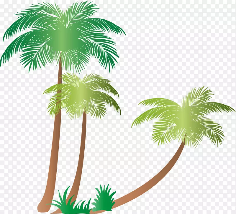 槟榔科椰子植物剪贴画-棕榈树
