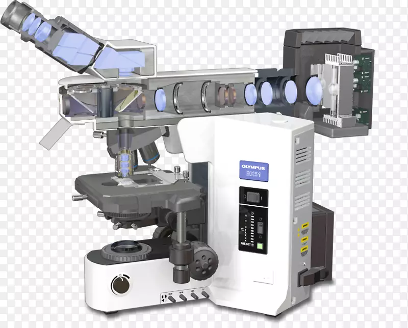 荧光显微镜荧光光谱共聚焦显微镜原理