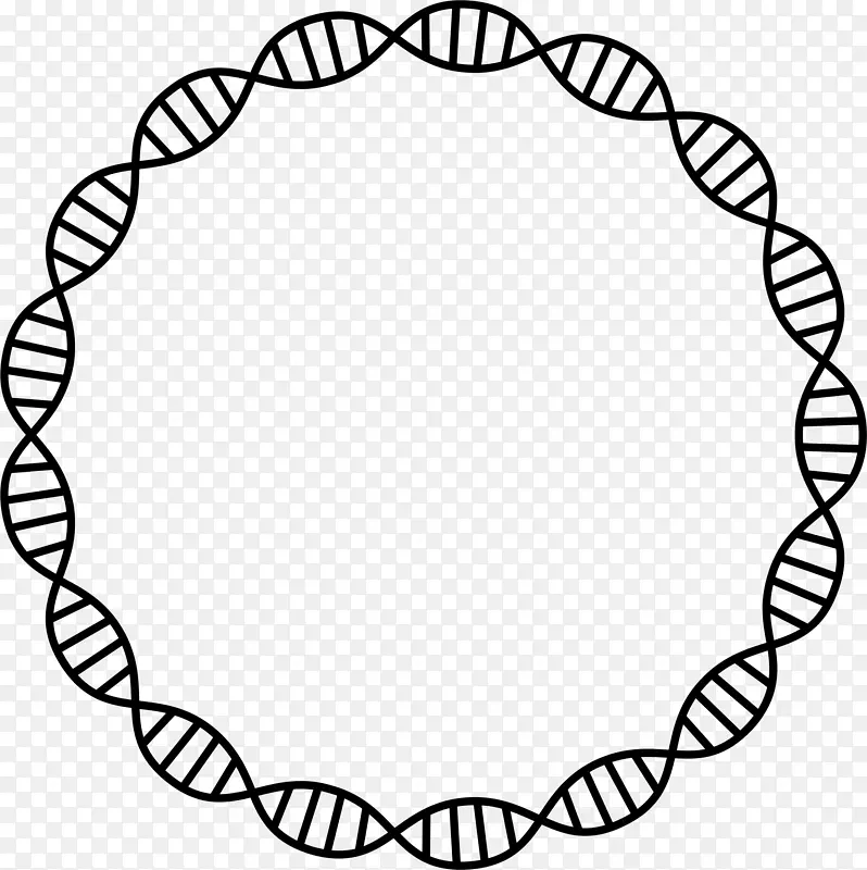 DNA核酸双螺旋细胞剪贴术-dna