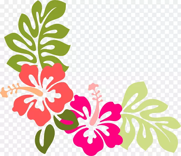夏威夷木槿花夹艺术-木槿
