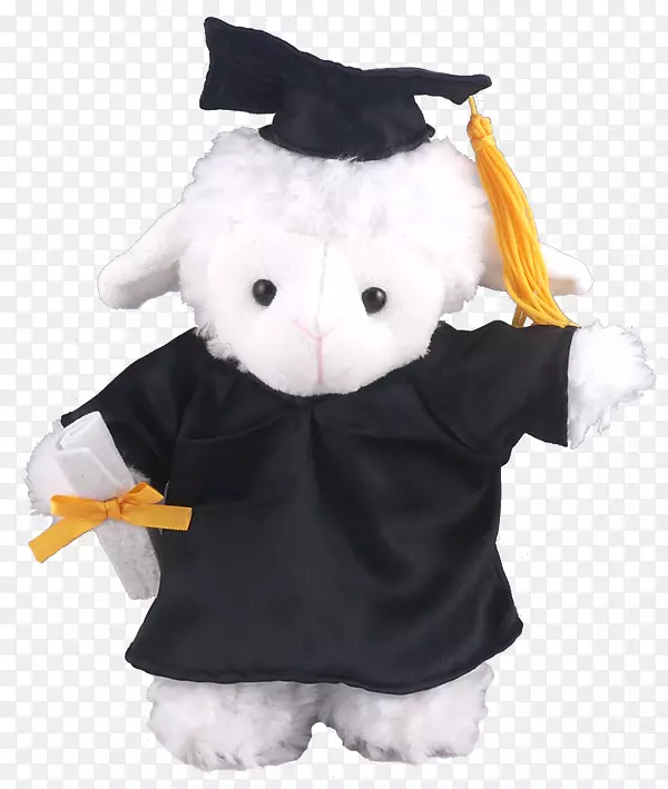 毛绒玩具和可爱玩具毕业典礼学术礼服广场学术帽长毛绒毕业礼服