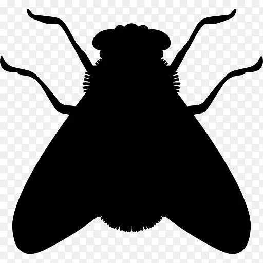 昆虫轮廓苍蝇蟑螂-昆虫