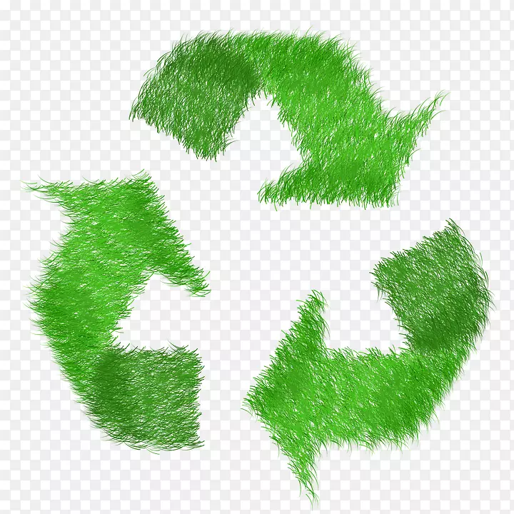 废物回收利用可持续性包装和标签.自然环境