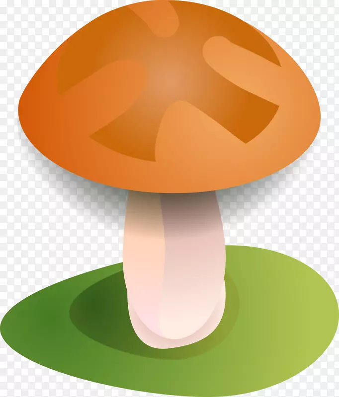 [医]蘑菇木耳-真菌