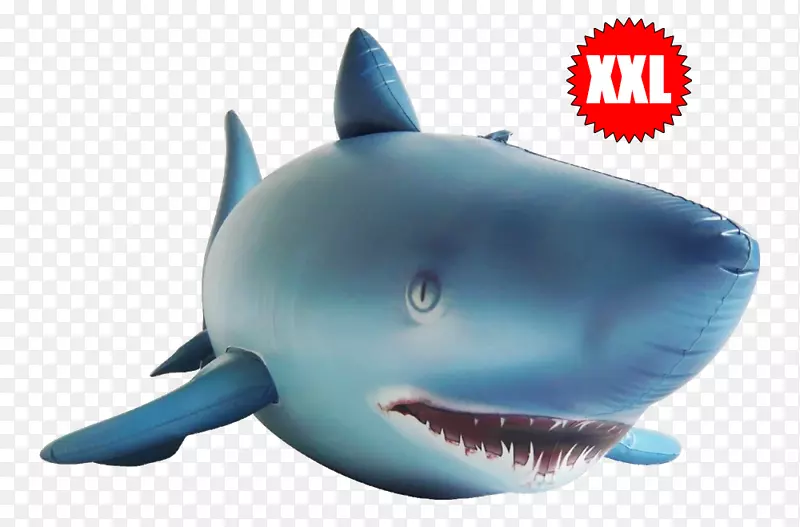 充气鱼虎鲨聚氯乙烯软体动物幼鲨