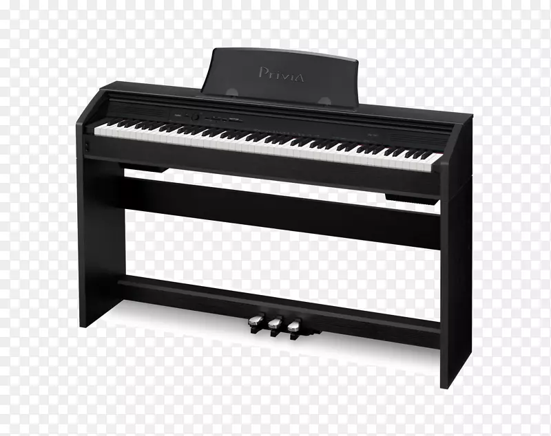 Privia数字钢琴键盘乐器.钢琴键盘