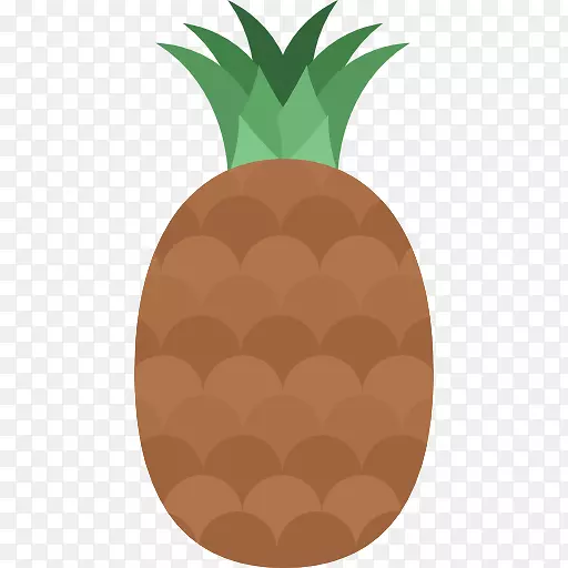 有机食品菠萝电脑图标-水果飞溅