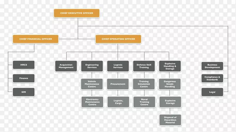 组织结构图首席运营官首席执行官架构-组织结构图