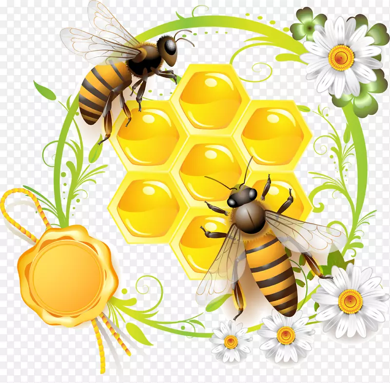 蜜蜂可以收藏摄影剪贴画-蜜蜂