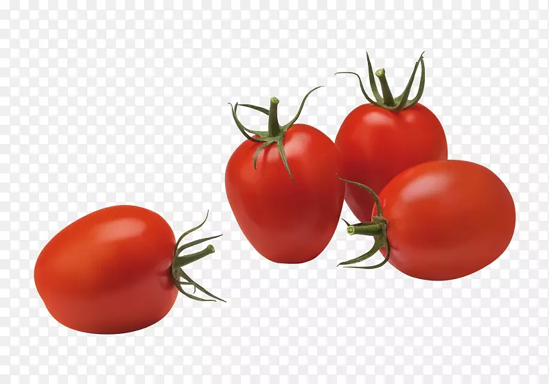 梅子番茄蔬菜食品罗姆番茄水果-番茄酱