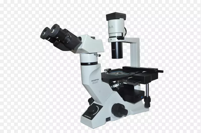 荧光显微镜光学仪器光学显微镜