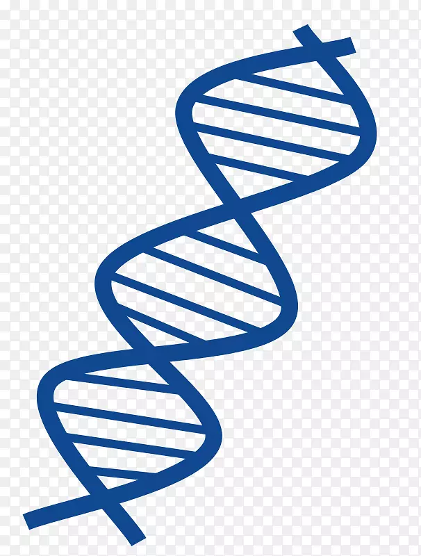 DNA核酸双螺旋剪贴术单身汉载体