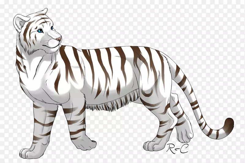 白虎猫科-动态时尚色彩遮阳背景