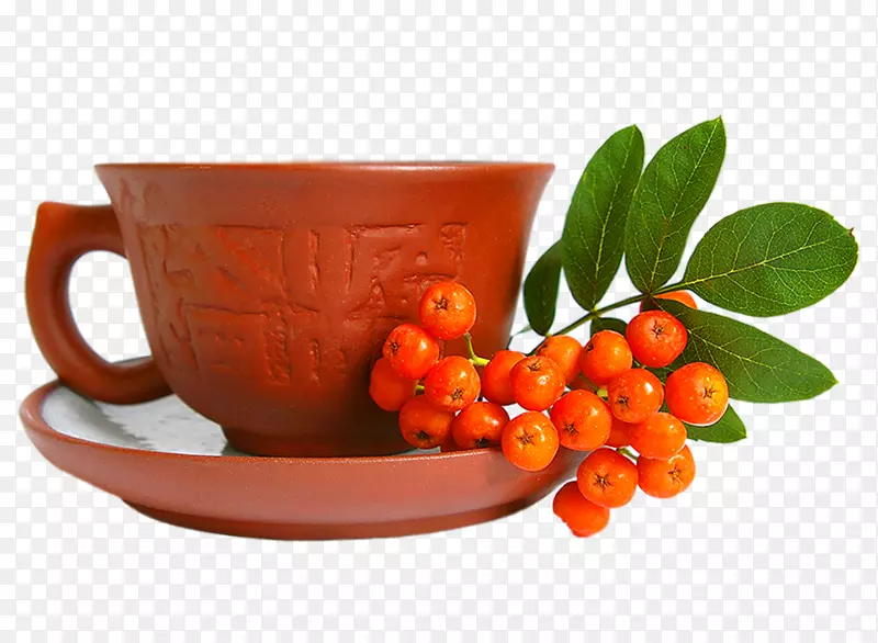 斯里兰卡绿茶茶杯食品茶生产-红杯